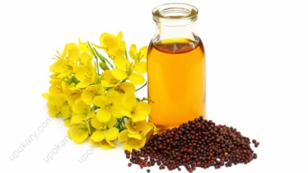 1650171985-h-250-Organic_Mustard_Oil_with_seeds.jpg